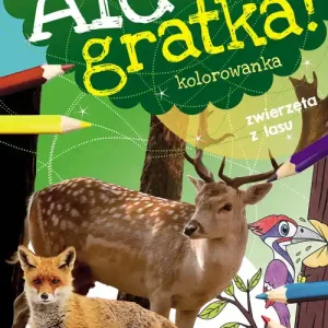 Wysoka jakość Ale gratka! Zwierzęta z lasu