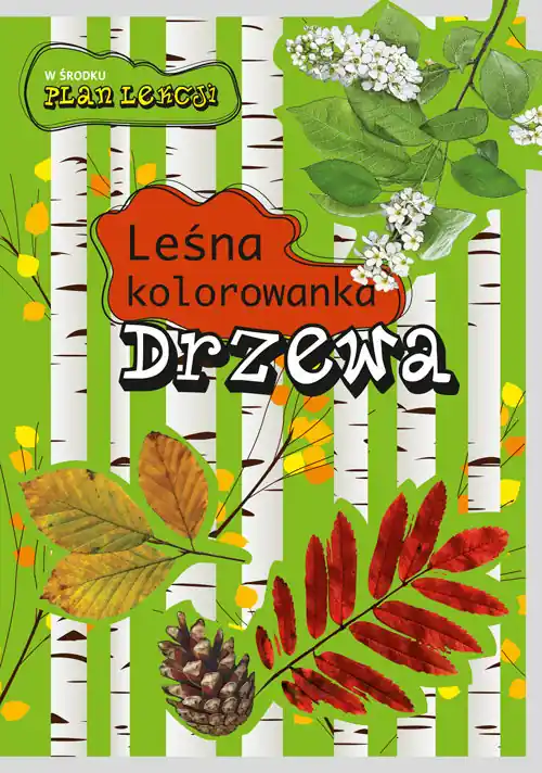 Leśna kolorowanka. Drzewa Ostatnia szansa