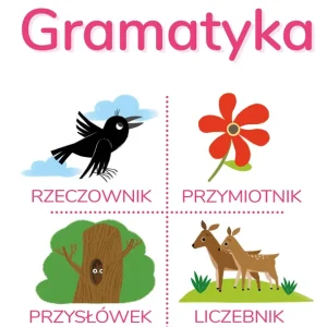 Blok zadań. Gramatyka 6+ Bestseller