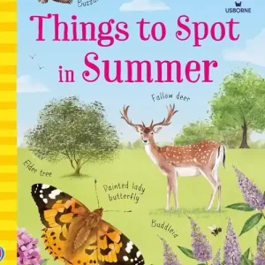 Mini Books Things to Spot in Summer Bestseller