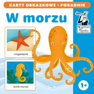Kapitan Nauka W morzu karty obrazkowe + poradnik Bezpieczna płatność