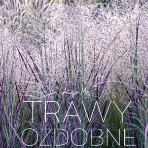 Zniżka Trawy ozdobne