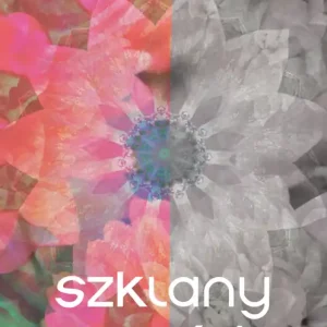 Cena promocyjna Szklany ogród