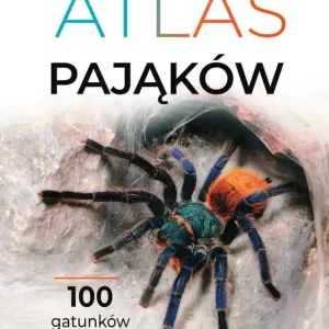 Atlas pająków Tylko do końca tygodnia