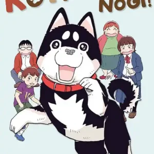 Kota, do nogi! Niska cena