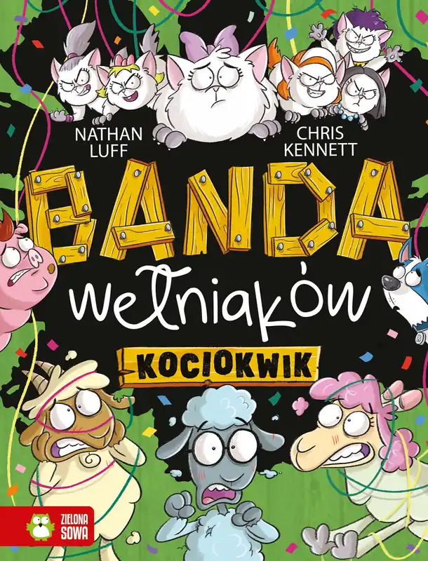 Banda Wełniaków Kociokwik Promocja