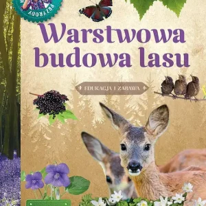 Bezpieczne zakupy Warstwowa budowa lasu