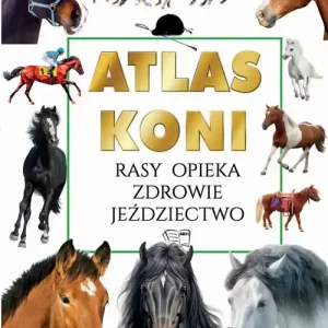 Atlas koni Oferta czasowa