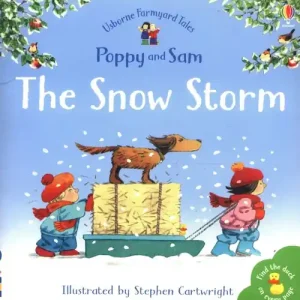 FYT MINI THE SNOW STORM Taniej