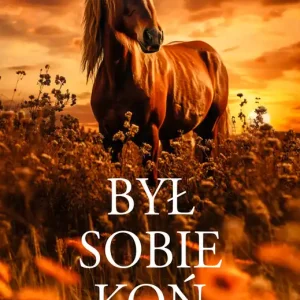 Był sobie koń Zamów teraz
