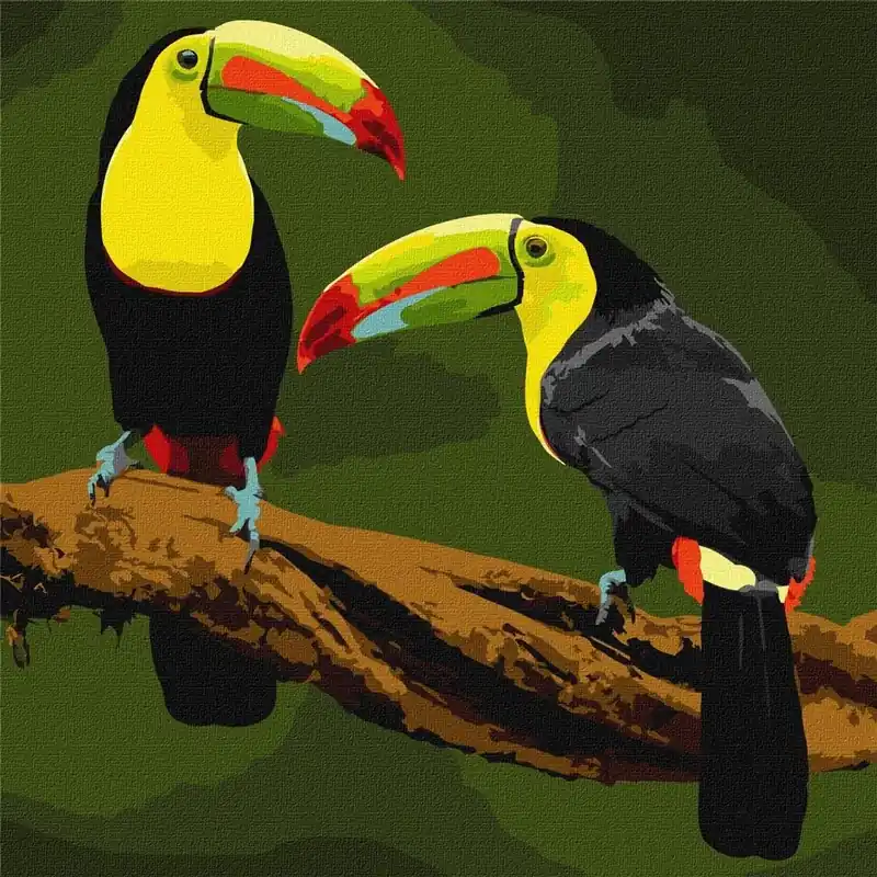 Malowanie po numerach - Ptaki egzotyczne 40x40cm Popularny
