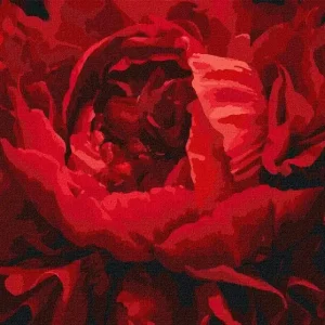 Malowanie po numerach - Wyśmienity kwiat 40x50cm Ograniczona ilość