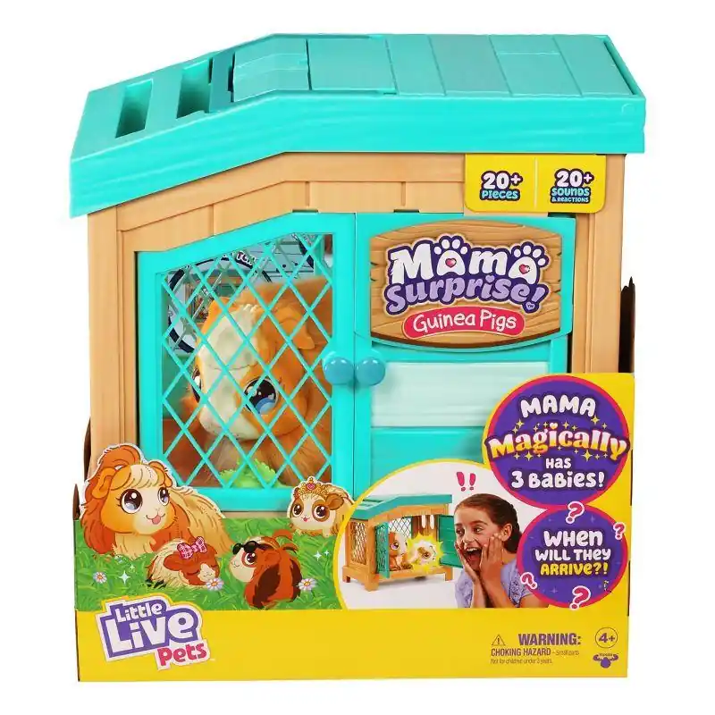 Little Live Pets. Świnka morska Tylko dziś